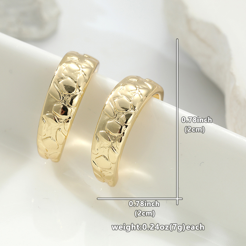Women's Chic Scaly Round Hoop Earrings
